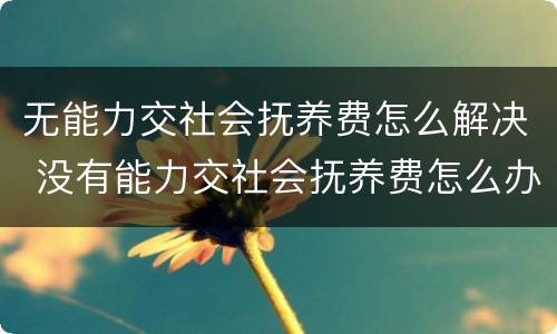 无能力交社会抚养费怎么解决 没有能力交社会抚养费怎么办