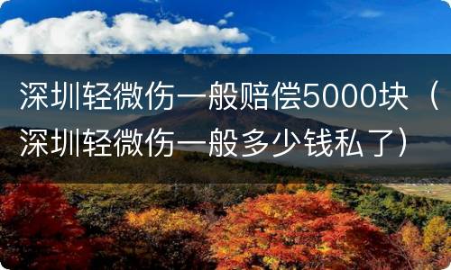 深圳轻微伤一般赔偿5000块（深圳轻微伤一般多少钱私了）