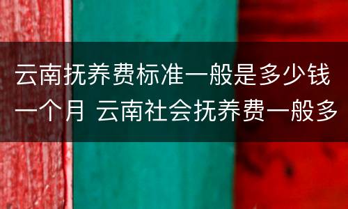 云南抚养费标准一般是多少钱一个月 云南社会抚养费一般多少钱