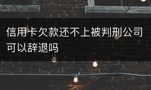 信用卡欠款还不上被判刑公司可以辞退吗