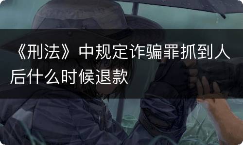 《刑法》中规定诈骗罪抓到人后什么时候退款