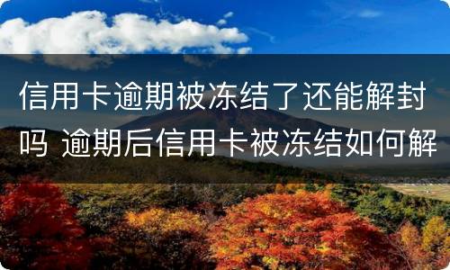 信用卡逾期被冻结了还能解封吗 逾期后信用卡被冻结如何解开?