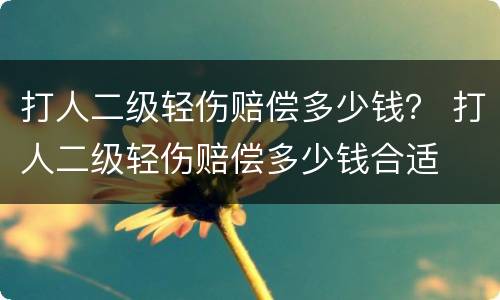 打人二级轻伤赔偿多少钱？ 打人二级轻伤赔偿多少钱合适