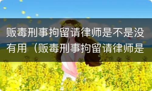 贩毒刑事拘留请律师是不是没有用（贩毒刑事拘留请律师是不是没有用了）