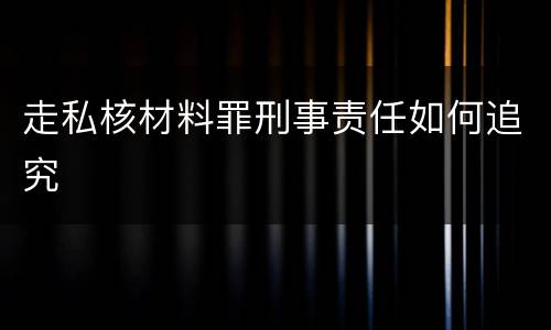 走私核材料罪刑事责任如何追究