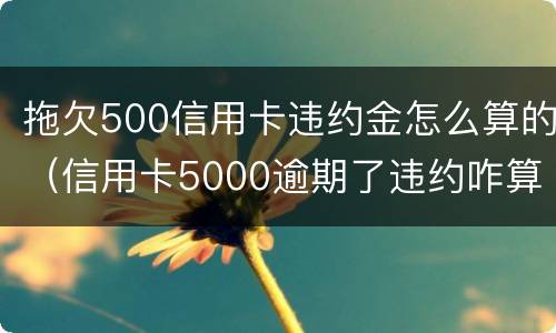 拖欠500信用卡违约金怎么算的（信用卡5000逾期了违约咋算）