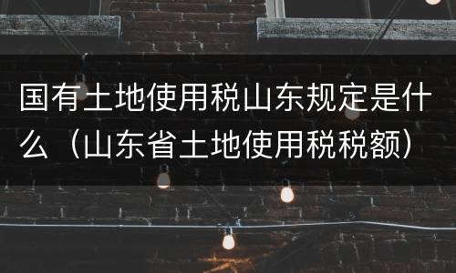 国有土地使用税山东规定是什么（山东省土地使用税税额）