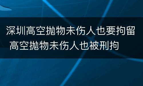 深圳高空抛物未伤人也要拘留 高空抛物未伤人也被刑拘