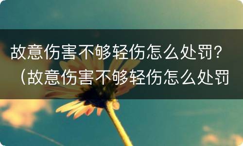 故意伤害不够轻伤怎么处罚？（故意伤害不够轻伤怎么处罚的）