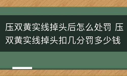压双黄实线掉头后怎么处罚 压双黄实线掉头扣几分罚多少钱