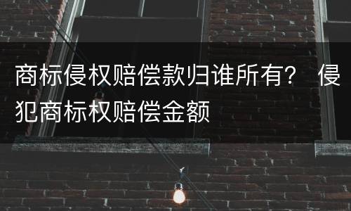 商标侵权赔偿款归谁所有？ 侵犯商标权赔偿金额