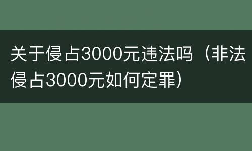 关于侵占3000元违法吗（非法侵占3000元如何定罪）