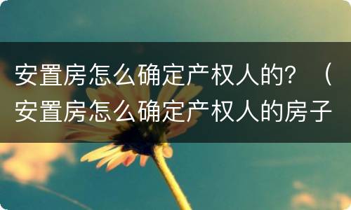 安置房怎么确定产权人的？（安置房怎么确定产权人的房子）