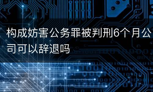 构成妨害公务罪被判刑6个月公司可以辞退吗