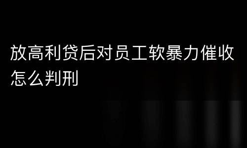 放高利贷后对员工软暴力催收怎么判刑