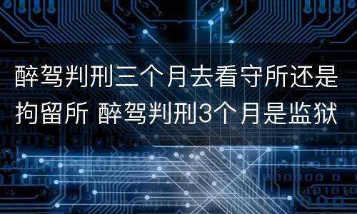 醉驾判刑三个月去看守所还是拘留所 醉驾判刑3个月是监狱还是看守所