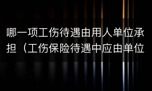 哪一项工伤待遇由用人单位承担（工伤保险待遇中应由单位承担的部分）