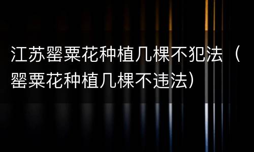 江苏罂粟花种植几棵不犯法（罂粟花种植几棵不违法）