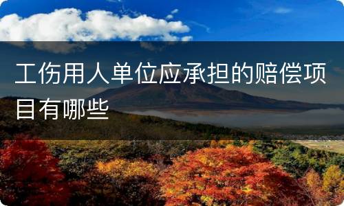 工伤用人单位应承担的赔偿项目有哪些