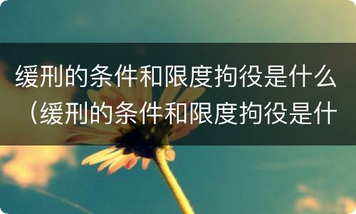 缓刑的条件和限度拘役是什么（缓刑的条件和限度拘役是什么意思）