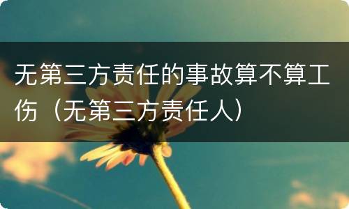 无第三方责任的事故算不算工伤（无第三方责任人）