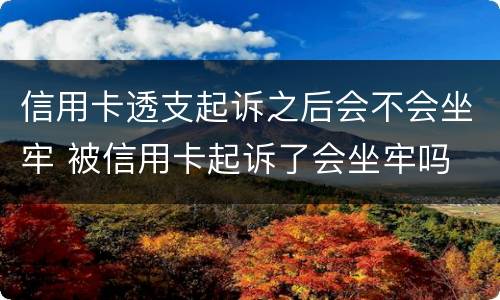 信用卡透支起诉之后会不会坐牢 被信用卡起诉了会坐牢吗