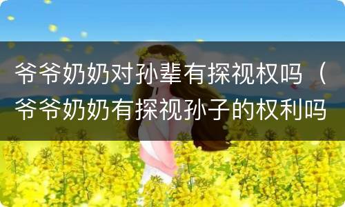 爷爷奶奶对孙辈有探视权吗（爷爷奶奶有探视孙子的权利吗）