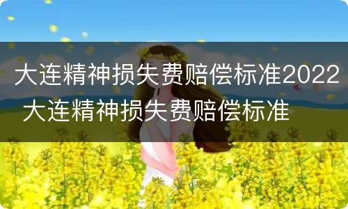 大连精神损失费赔偿标准2022 大连精神损失费赔偿标准