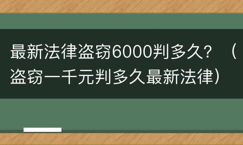 最新法律盗窃6000判多久？（盗窃一千元判多久最新法律）