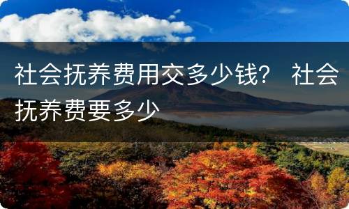 社会抚养费用交多少钱？ 社会抚养费要多少