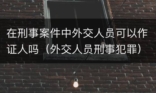 在刑事案件中外交人员可以作证人吗（外交人员刑事犯罪）