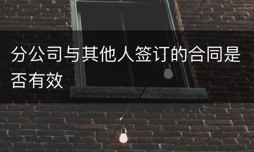 分公司与其他人签订的合同是否有效