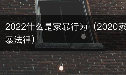 2022什么是家暴行为（2020家暴法律）
