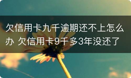 欠信用卡九千逾期还不上怎么办 欠信用卡9千多3年没还了