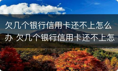欠几个银行信用卡还不上怎么办 欠几个银行信用卡还不上怎么办呢