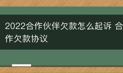 2022合作伙伴欠款怎么起诉 合作欠款协议