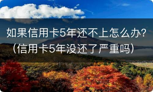 如果信用卡5年还不上怎么办？（信用卡5年没还了严重吗）
