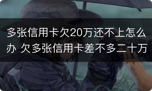 多张信用卡欠20万还不上怎么办 欠多张信用卡差不多二十万还不上怎么办