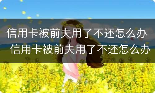 信用卡被前夫用了不还怎么办 信用卡被前夫用了不还怎么办呢