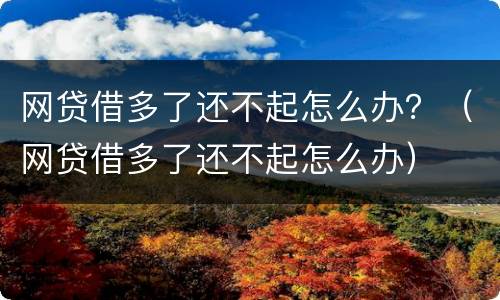 网贷借多了还不起怎么办？（网贷借多了还不起怎么办）