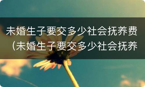 未婚生子要交多少社会抚养费（未婚生子要交多少社会抚养费给女方）