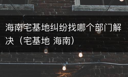 海南宅基地纠纷找哪个部门解决（宅基地 海南）