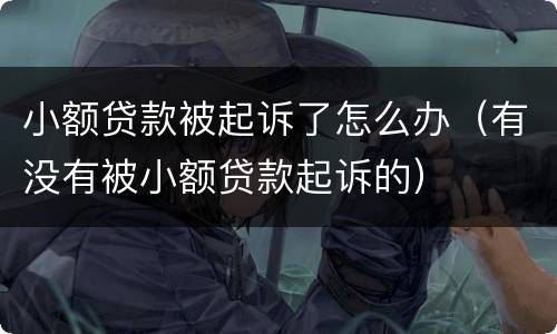 小额贷款被起诉了怎么办（有没有被小额贷款起诉的）