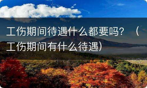 工伤期间待遇什么都要吗？（工伤期间有什么待遇）