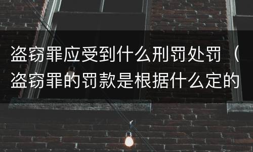 盗窃罪应受到什么刑罚处罚（盗窃罪的罚款是根据什么定的）