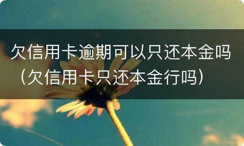 欠信用卡逾期可以只还本金吗（欠信用卡只还本金行吗）