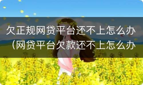 欠正规网贷平台还不上怎么办（网贷平台欠款还不上怎么办）