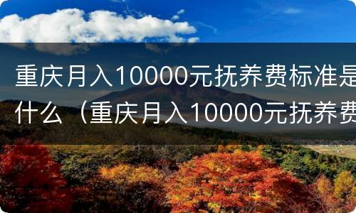 重庆月入10000元抚养费标准是什么（重庆月入10000元抚养费标准是什么样的）