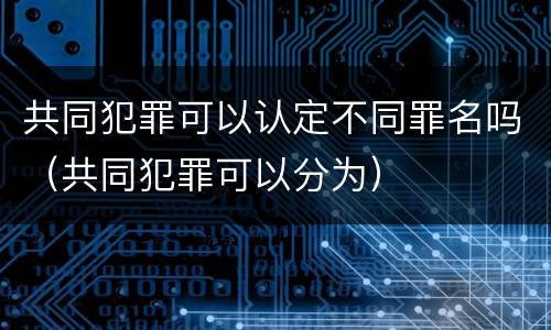 共同犯罪可以认定不同罪名吗（共同犯罪可以分为）