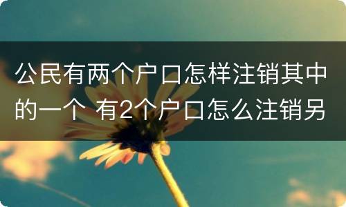 公民有两个户口怎样注销其中的一个 有2个户口怎么注销另外一个